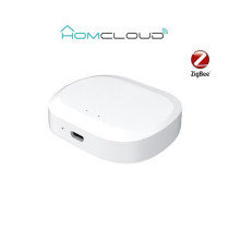 Centralina intelligente Hub Termovalvole - Zigbee+Bluetooth VZ-GHZ2