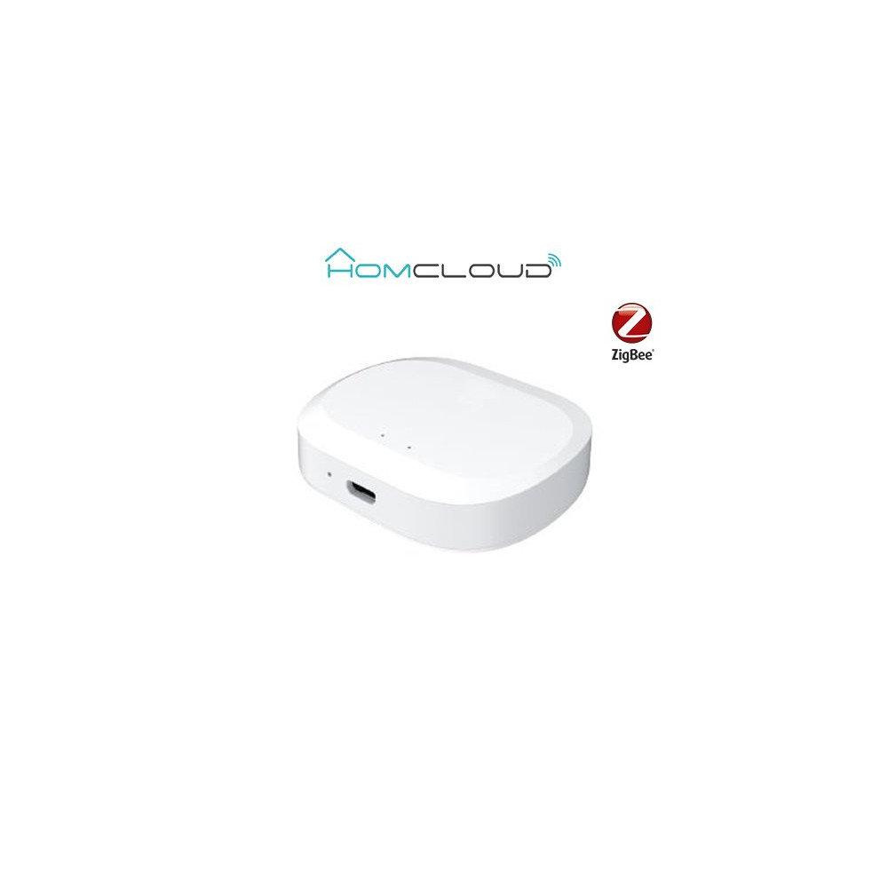 Centralina intelligente Hub Termovalvole - Zigbee+Bluetooth VZ-GHZ2