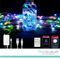 Corda in PVC di Luci Decorative Smart RGB-IC OUTDOOR Wi-Fi + Bluetooth 10M IP65 HY-F10M