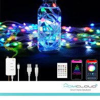 Corda in PVC di Luci Decorative Smart RGB-IC OUTDOOR Wi-Fi + Bluetooth 10M IP65 HY-F10M