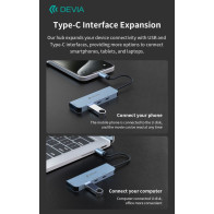 HUB 4 in 1 da tipo C a USB x2 + C + PD 100 W serie Leopard DEHB41PD244