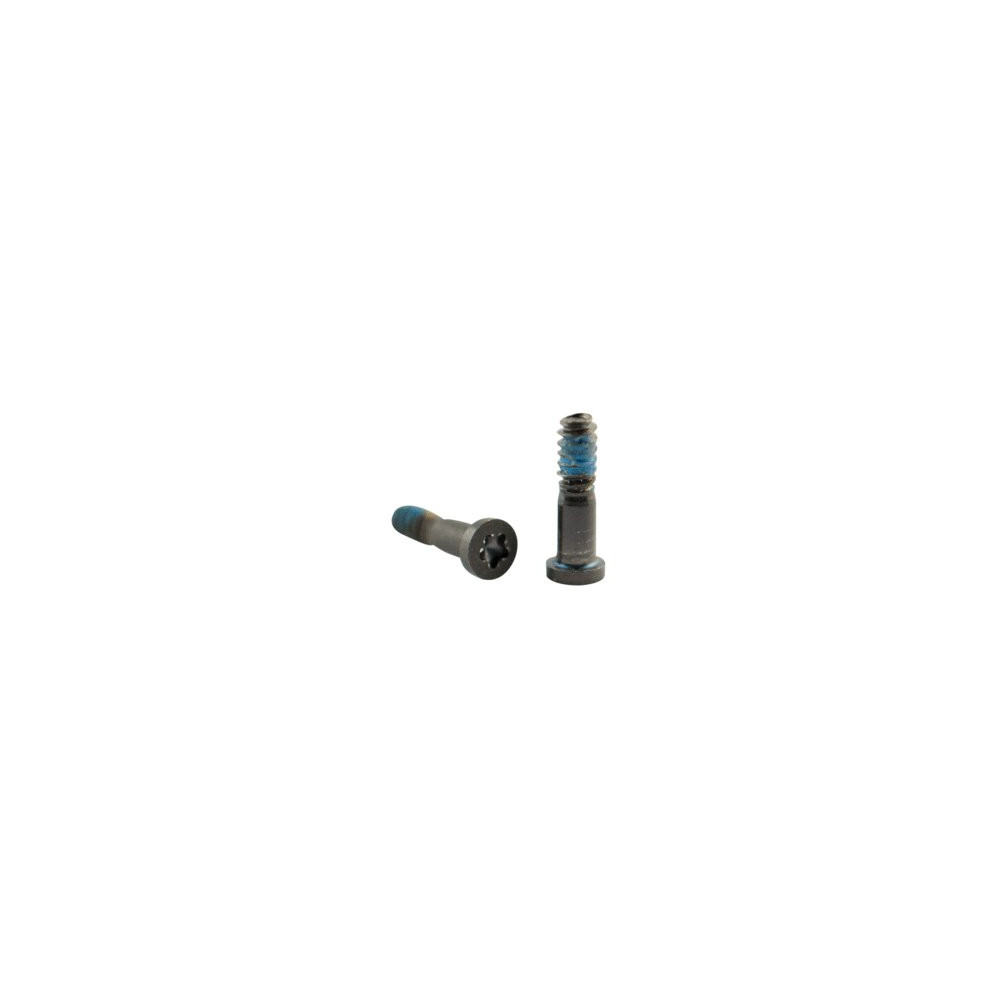 Viti connettore di carica per iPhone X Nero 10 Pz SPIPX26