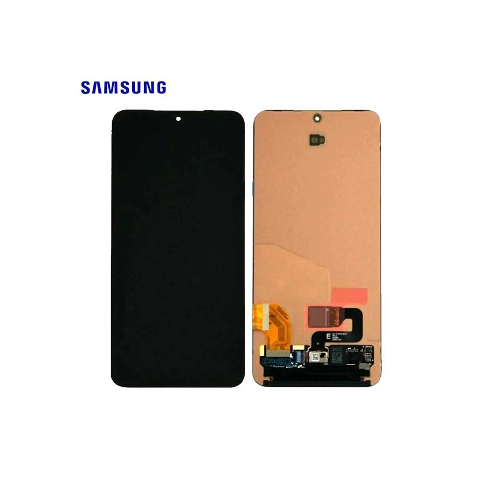 Samsung Galaxy S24 SM-S921B Display Senza Frame GH82-33286A RCSAS921BLCD