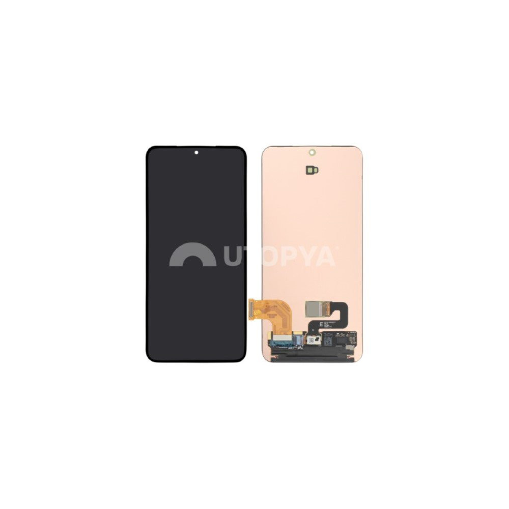 Galaxy S24 (S921B) Schermo intero (senza cornice) 126026