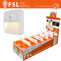 Luce notturna quadrata con sensore di movimento bispina con espositore FLFSN304