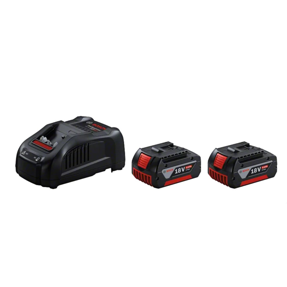 1600A00B8J,Set 2 batterie 18V 5.0Ah + Caricabatteria BACA0B8J18S-BO