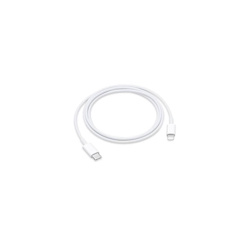 APPLE    Cavo USB-C  a Lightning (1m) - MM0A3ZM/A